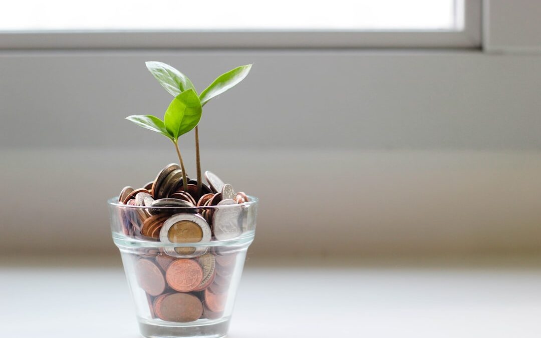 Hoe groei je financieel als kleine ondernemer