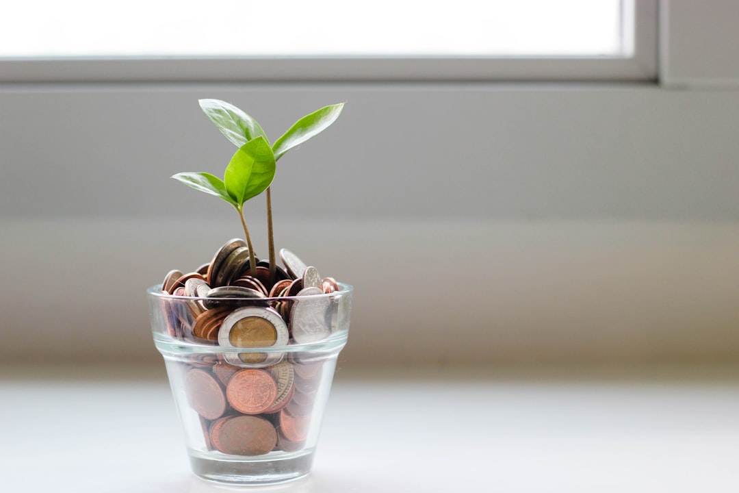 Hoe groei je financieel als kleine ondernemer