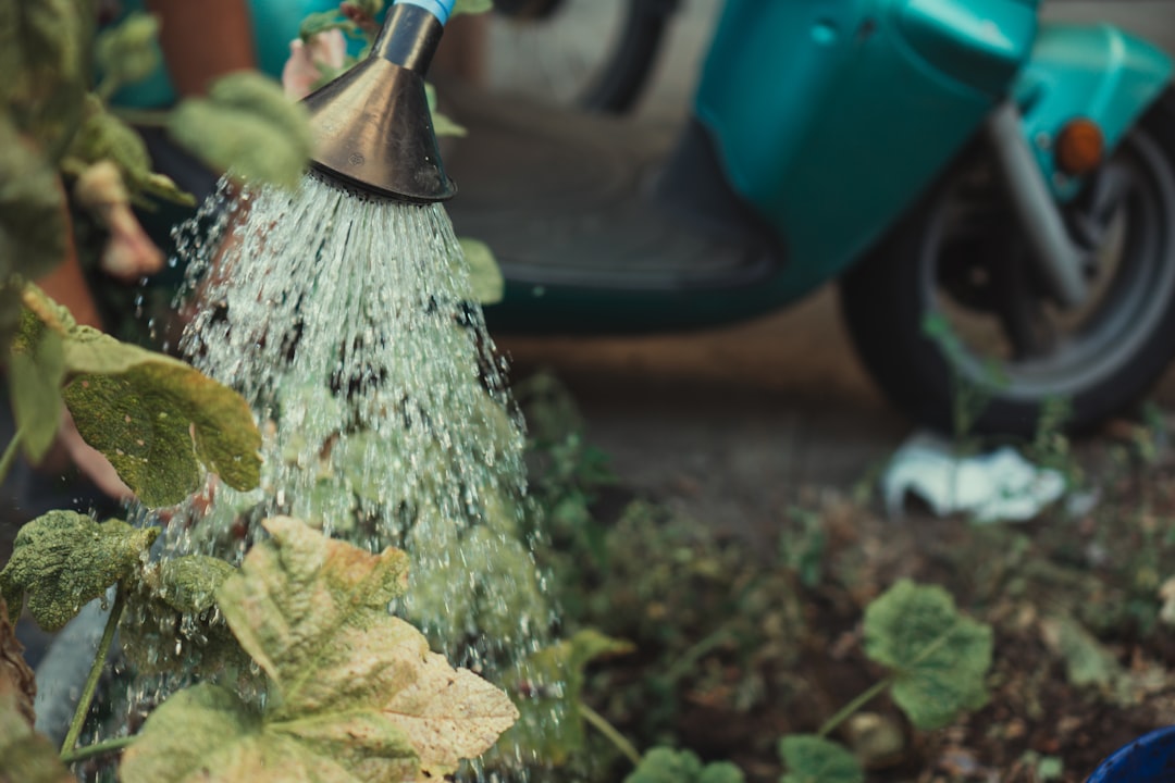 Wat zijn de valkuilen van greenwashing